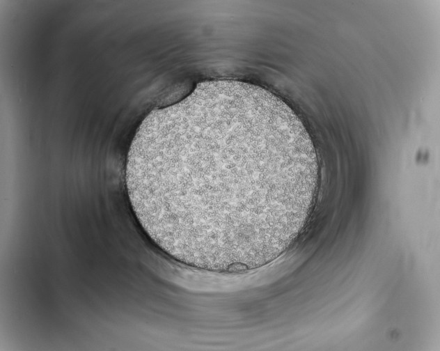 X0000101950048200808151302