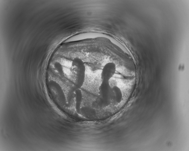 X0000101950049200808151302