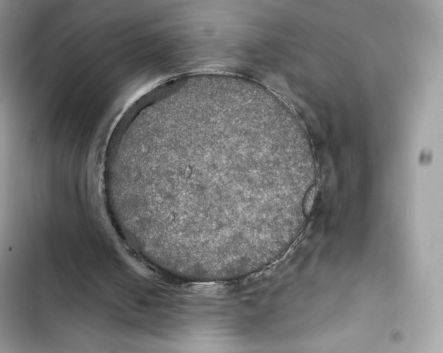 X0000101950050200808151302