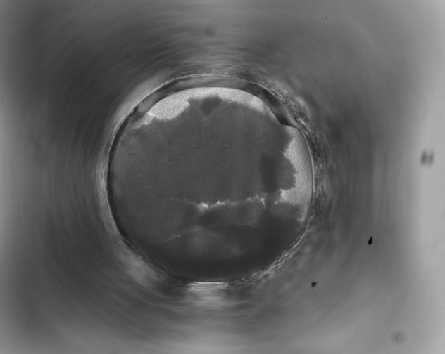 X0000101950051200808151302