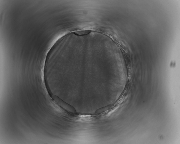 X0000101950052200808151302