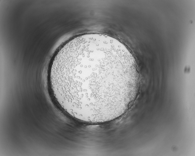 X0000101950054200808151302