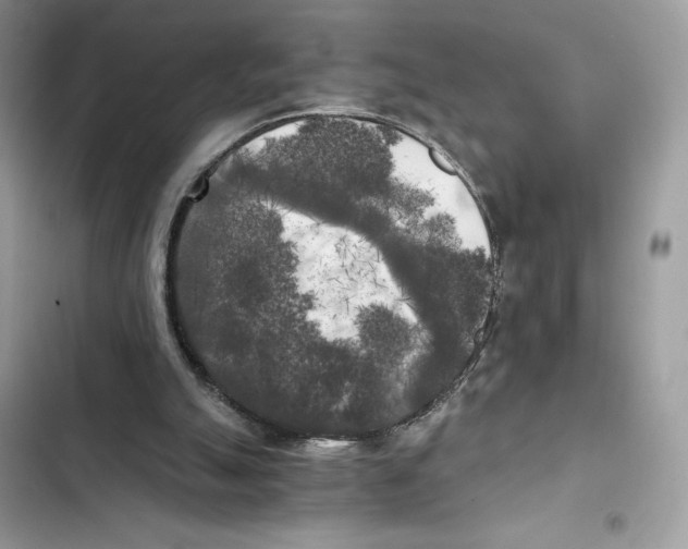 X0000101950055200808151302