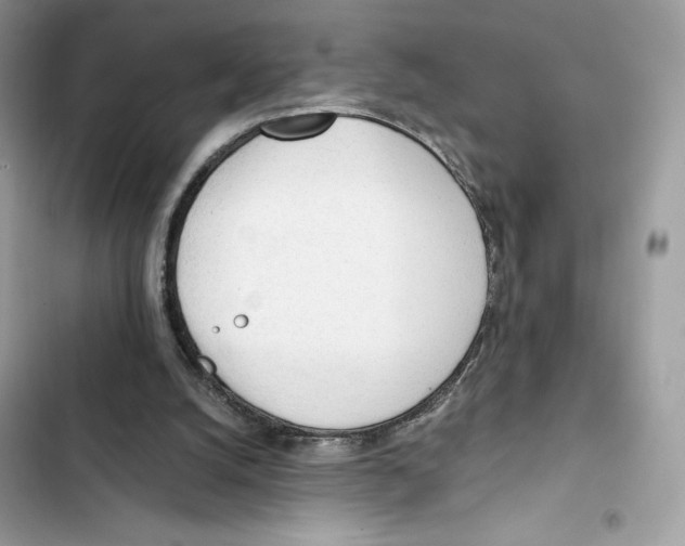 X0000101950056200808151302