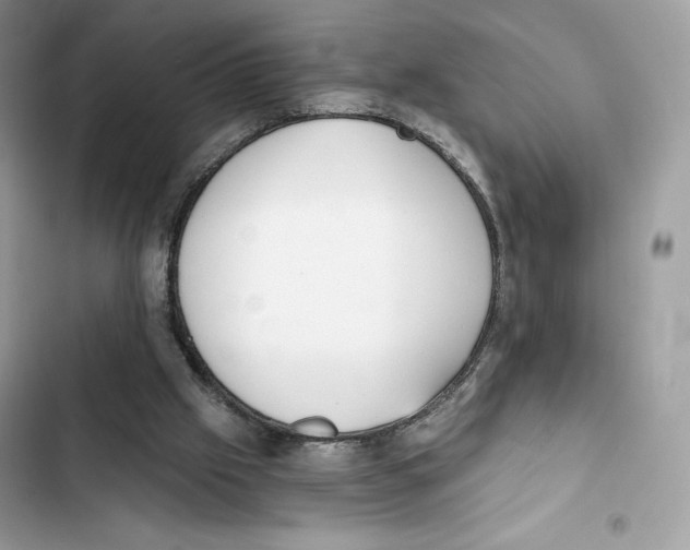 X0000101950057200808151302