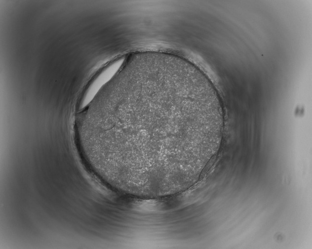 X0000101950058200808151302