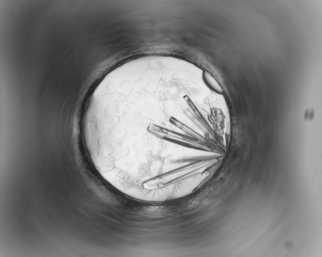 X0000101950059200808151302
