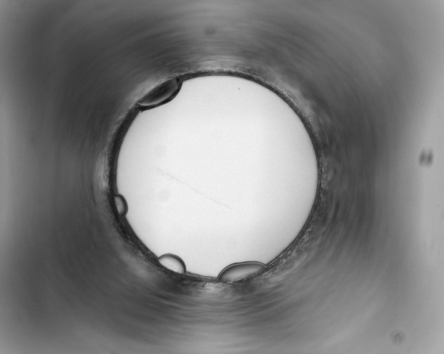 X0000101950060200808151302