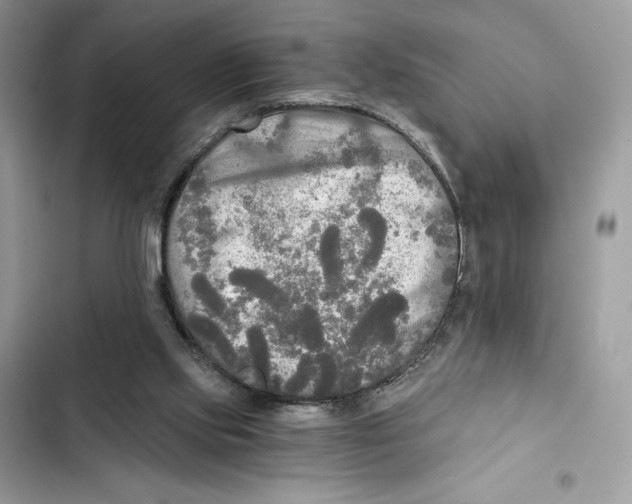 X0000101950061200808151302