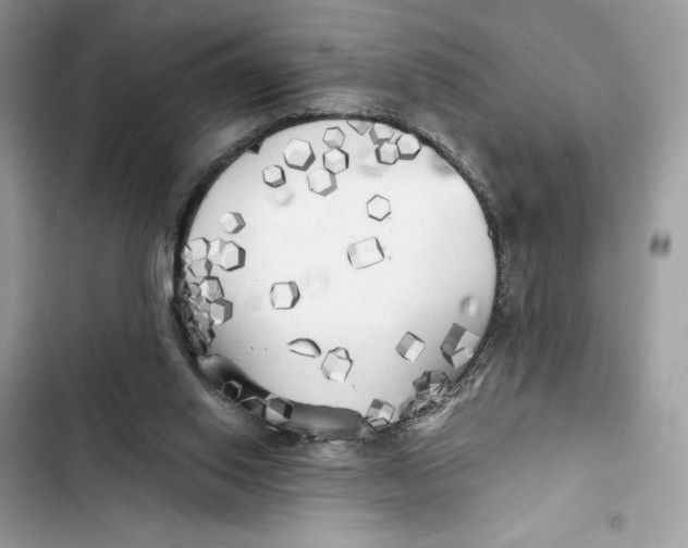 X0000101950062200808151302