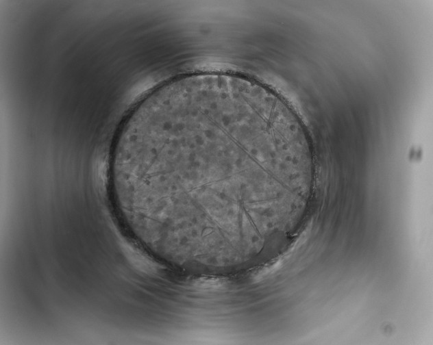 X0000101950063200808151302