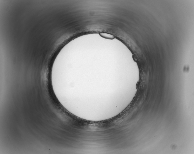 X0000101950064200808151302