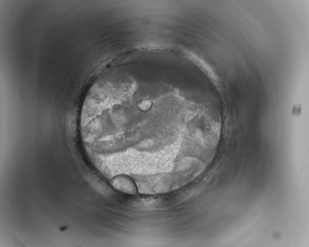 X0000101950065200808151302