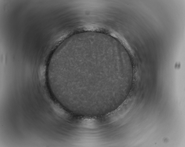 X0000101950066200808151302