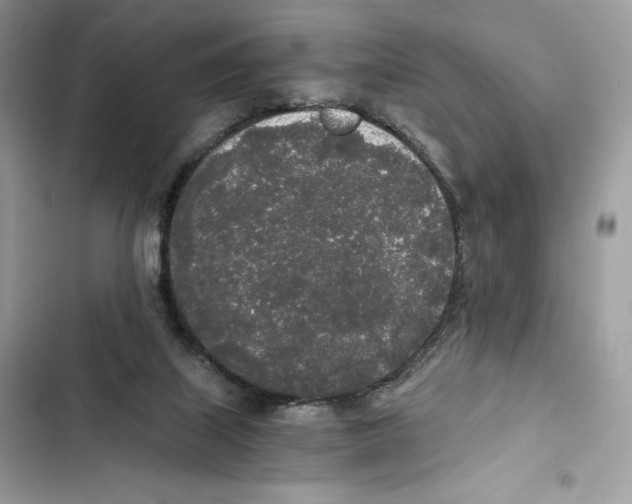 X0000101950067200808151302