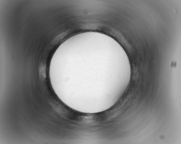 X0000101950068200808151302