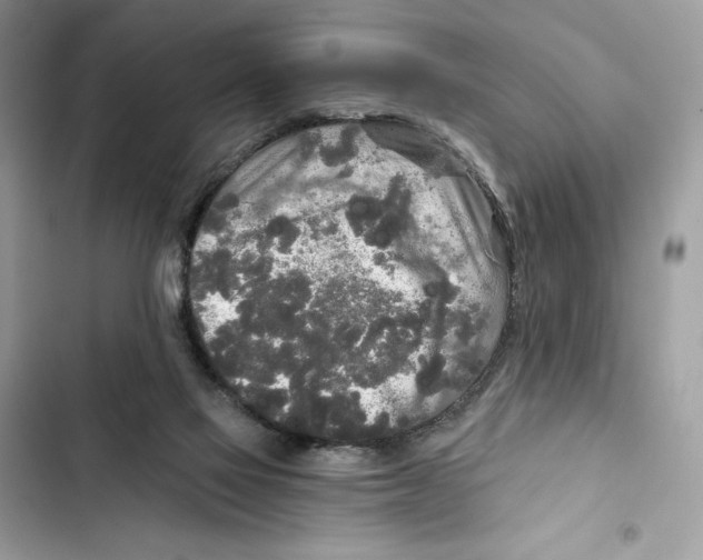 X0000101950069200808151302
