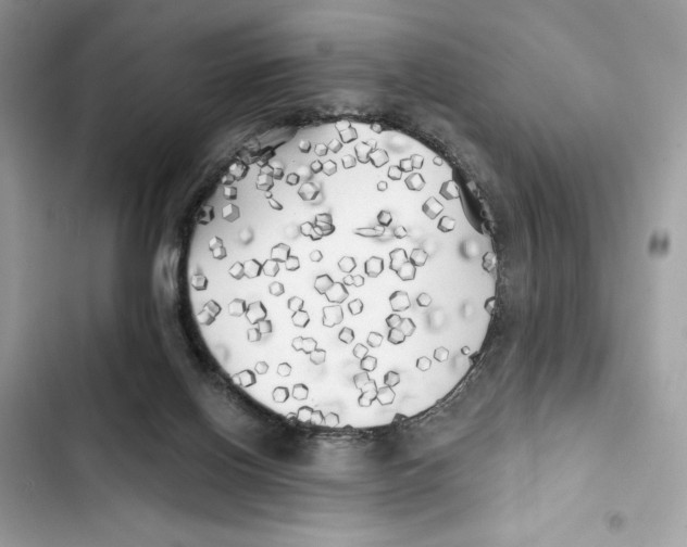 X0000101950070200808151302