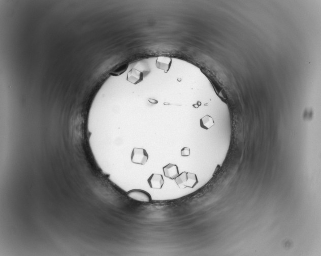 X0000101950071200808151302