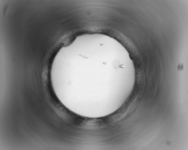 X0000101950072200808151302