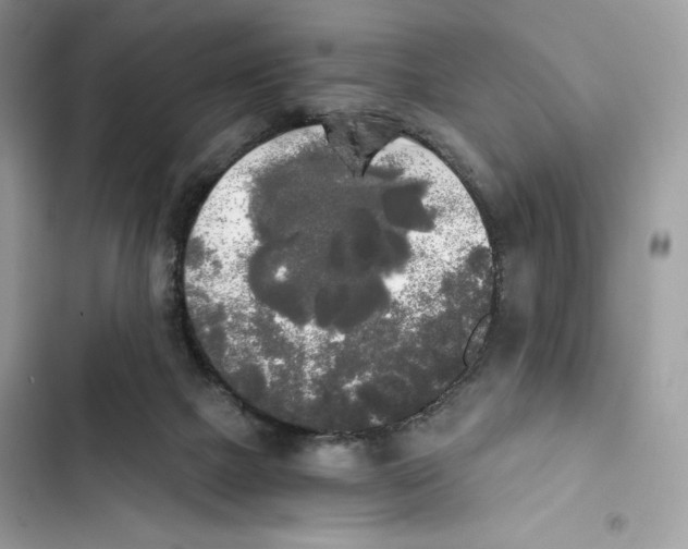 X0000101950073200808151302