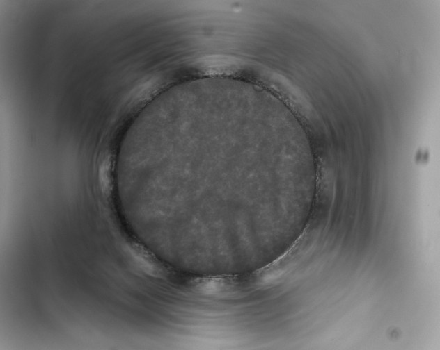 X0000101950074200808151302