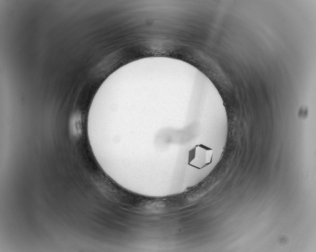X0000101950075200808151302