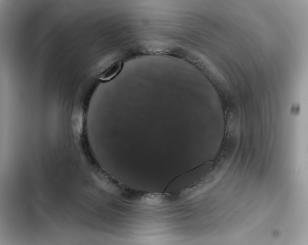 X0000101950076200808151302