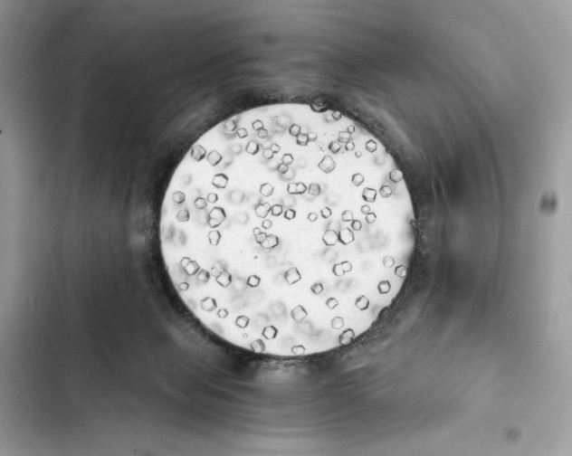 X0000101950077200808151302