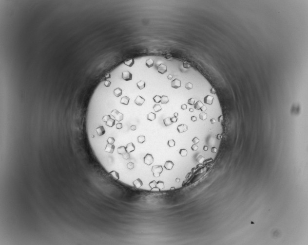 X0000101950078200808151302