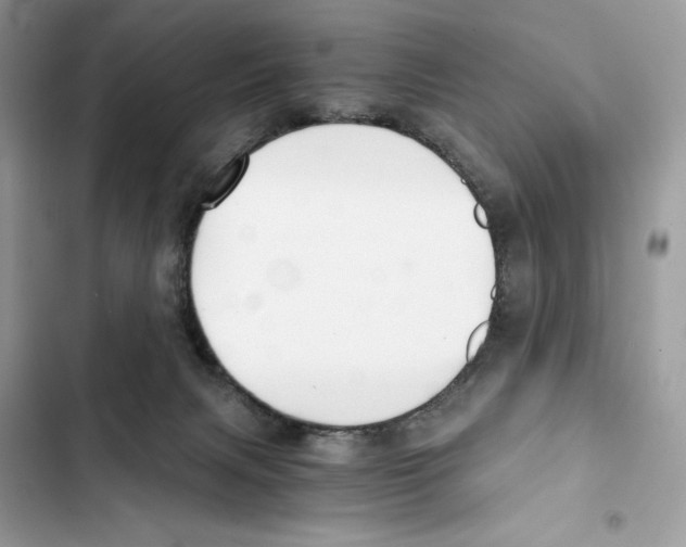 X0000101950079200808151302
