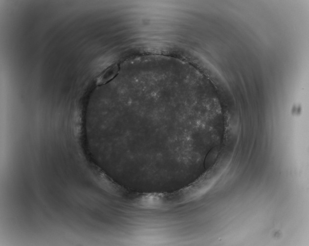 X0000101950080200808151302