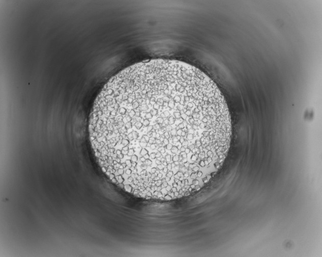 X0000101950081200808151302