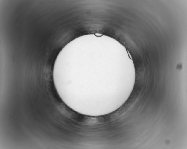 X0000101950083200808151302