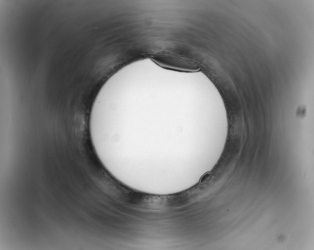 X0000101950084200808151302