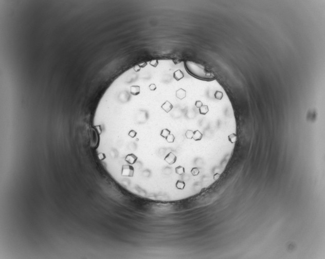 X0000101950085200808151302