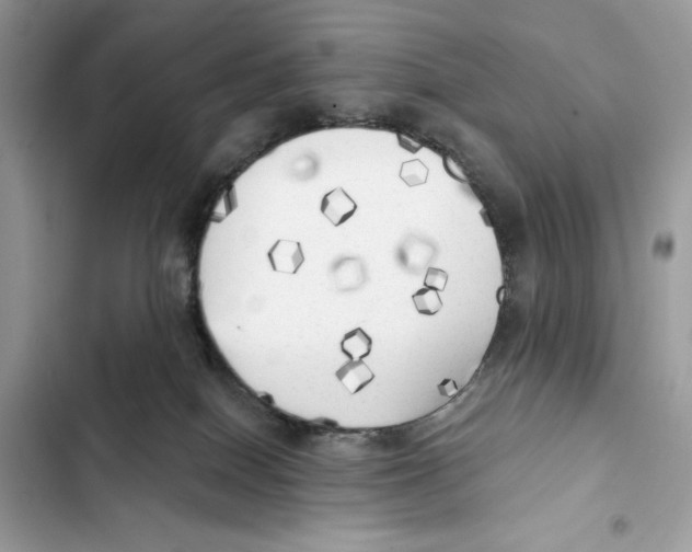 X0000101950086200808151302