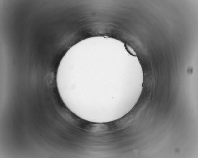 X0000101950087200808151302