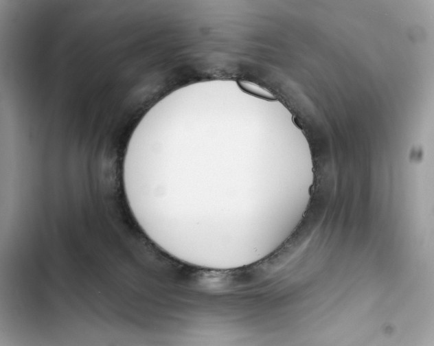 X0000101950088200808151302
