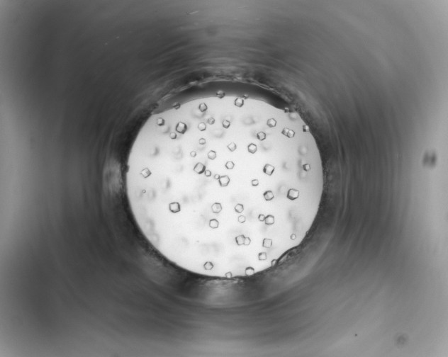 X0000101950089200808151302