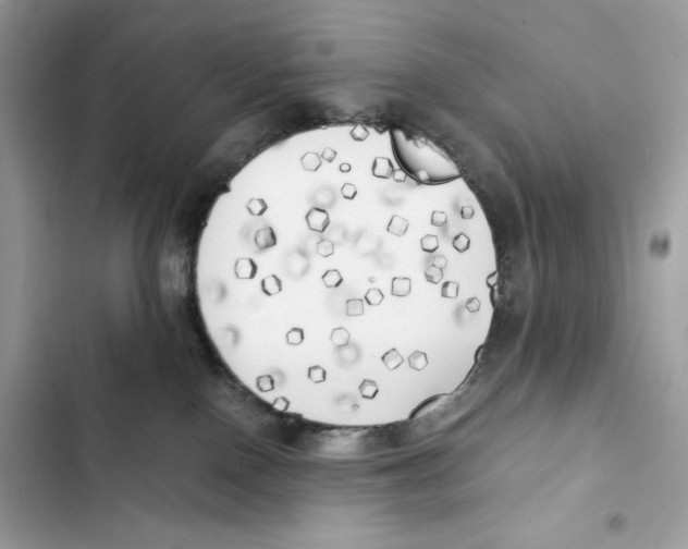 X0000101950090200808151302