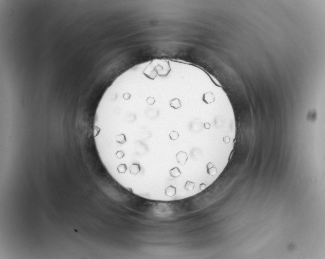 X0000101950091200808151302
