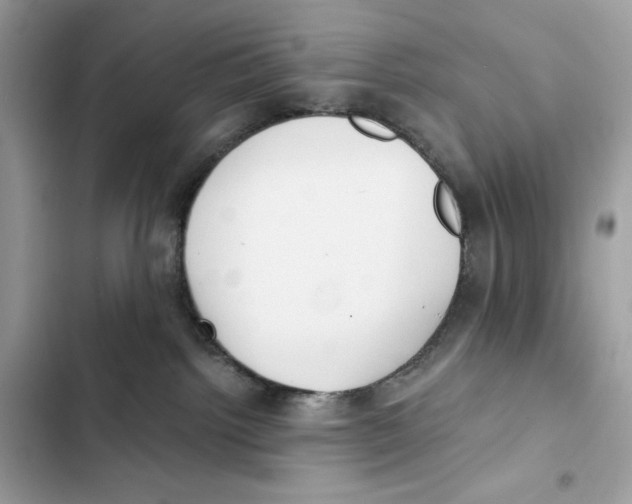 X0000101950092200808151302