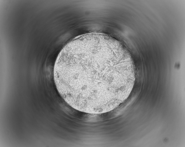 X0000101950093200808151302