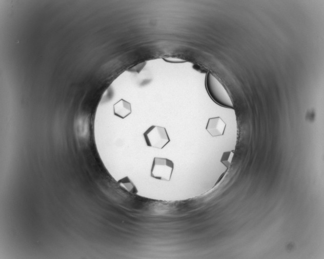 X0000101950094200808151302