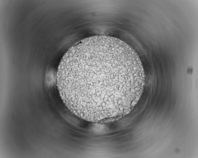 X0000101950095200808151302