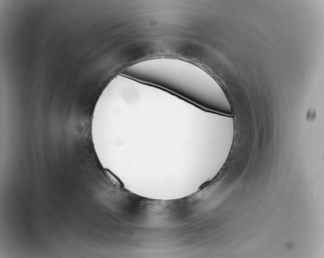 X0000101950096200808151302