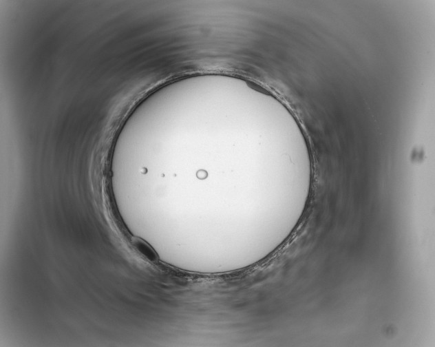 X0000101950097200808151302