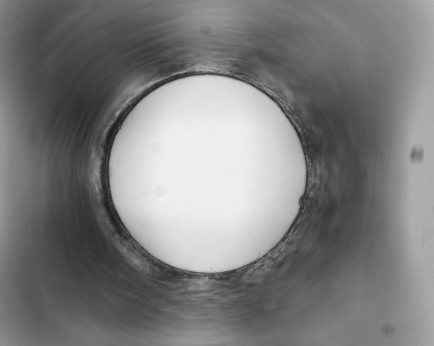 X0000101950098200808151302