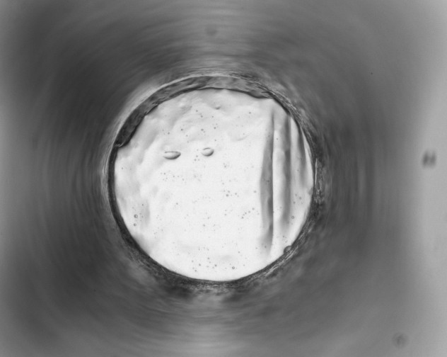 X0000101950099200808151302
